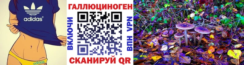 Галлюциногенные грибы Psilocybine cubensis  OMG ссылки  Остров 